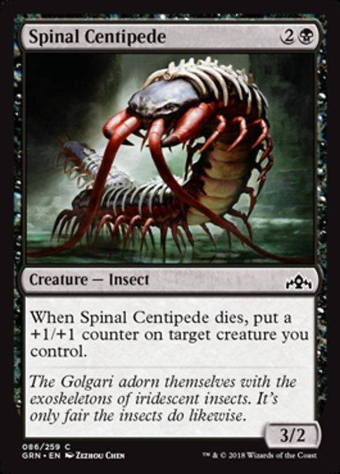 Spinal Centipede - C #86 King Gaming