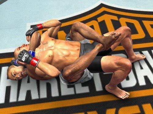UFC 2009: Undisputed - PlayStation 3 Standard Edition King Gaming